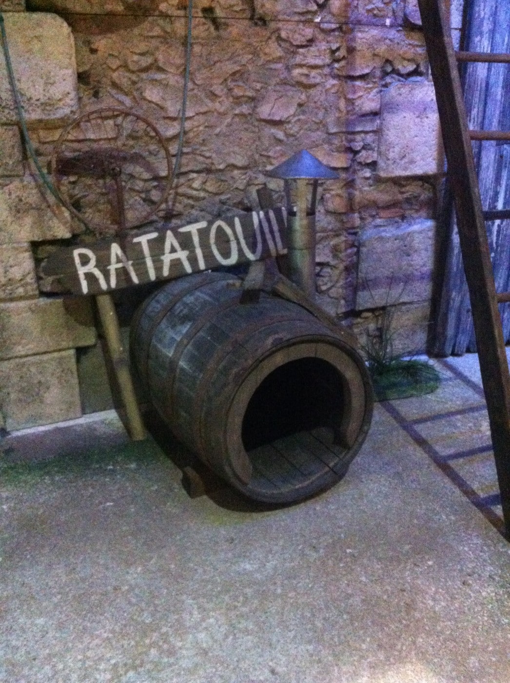 photo-accessoires-theatre-lra-ratatouille